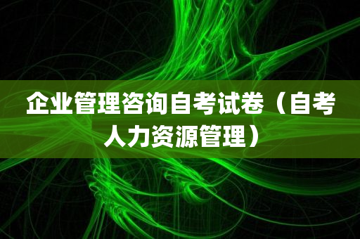 企业管理咨询自考试卷（自考人力资源管理）