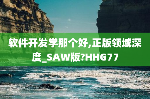 软件开发学那个好,正版领域深度_SAW版?HHG77