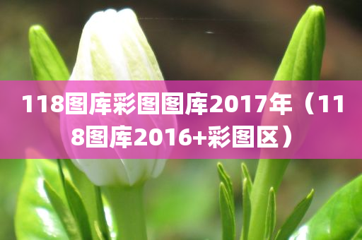 118图库彩图图库2017年（118图库2016+彩图区）