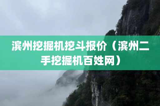 滨州挖掘机挖斗报价（滨州二手挖掘机百姓网）