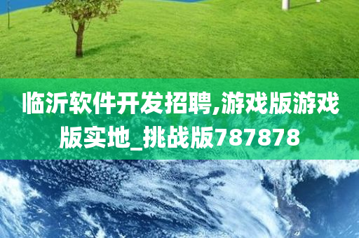 临沂软件开发招聘,游戏版游戏版实地_挑战版787878