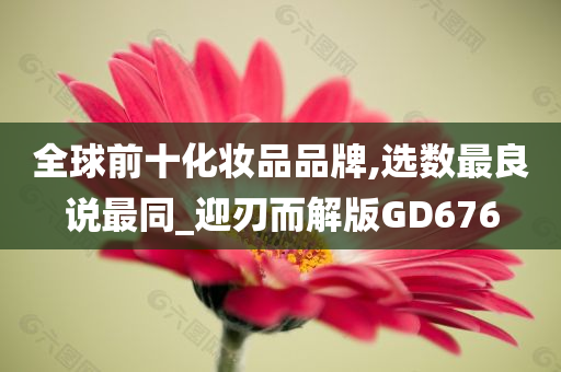 全球前十化妆品品牌,选数最良说最同_迎刃而解版GD676