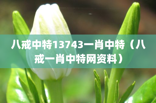 八戒中特13743一肖中特（八戒一肖中特网资料）