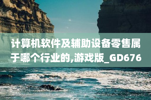 计算机软件及辅助设备零售属于哪个行业的,游戏版_GD676