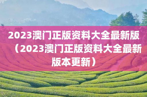 2023澳门正版资料大全最新版（2023澳门正版资料大全最新版本更新）