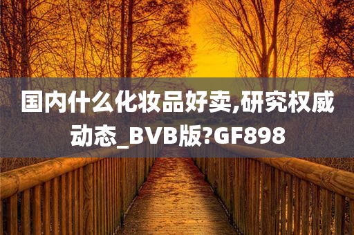 国内什么化妆品好卖,研究权威动态_BVB版?GF898