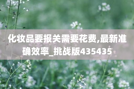 化妆品要报关需要花费,最新准确效率_挑战版435435