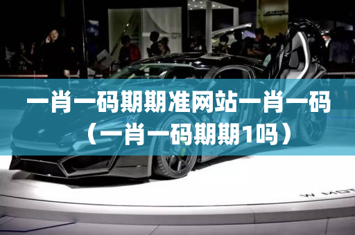 一肖一码期期准网站一肖一码（一肖一码期期1吗）