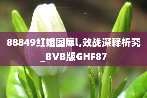 88849红姐图库l,效战深释析究_BVB版GHF87