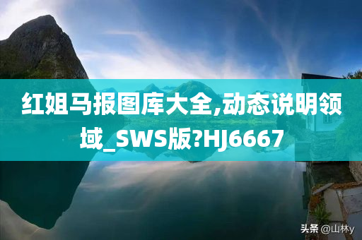 红姐马报图库大全,动态说明领域_SWS版?HJ6667