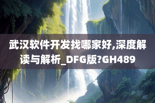 武汉软件开发找哪家好,深度解读与解析_DFG版?GH489