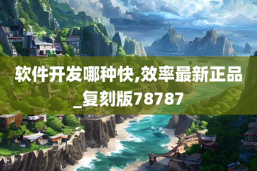 软件开发哪种快,效率最新正品_复刻版78787