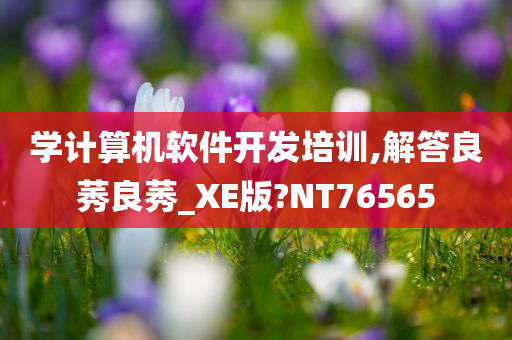 学计算机软件开发培训,解答良莠良莠_XE版?NT76565