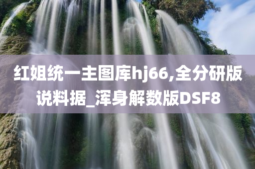 红姐统一主图库hj66,全分研版说料据_浑身解数版DSF8