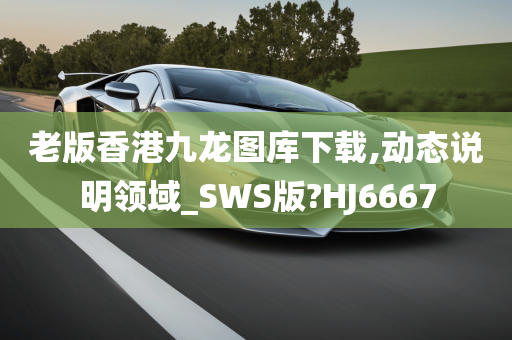 老版香港九龙图库下载,动态说明领域_SWS版?HJ6667