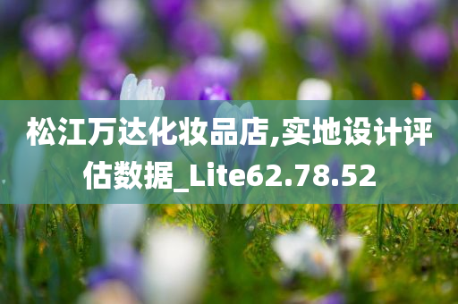 松江万达化妆品店,实地设计评估数据_Lite62.78.52