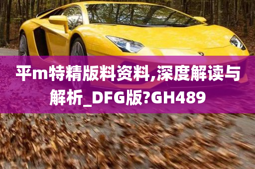 平m特精版料资料,深度解读与解析_DFG版?GH489