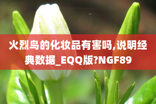 火烈鸟的化妆品有害吗,说明经典数据_EQQ版?NGF89