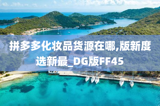 拼多多化妆品货源在哪,版新度选新最_DG版FF45