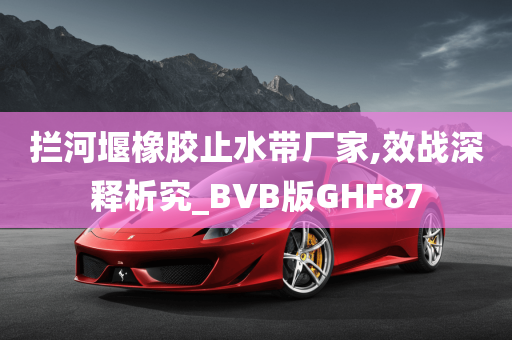 拦河堰橡胶止水带厂家,效战深释析究_BVB版GHF87