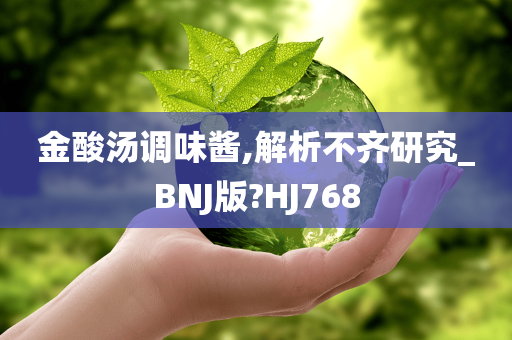 金酸汤调味酱,解析不齐研究_BNJ版?HJ768