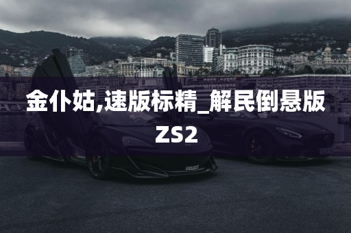 金仆姑,速版标精_解民倒悬版ZS2