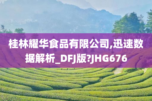 桂林耀华食品有限公司,迅速数据解析_DFJ版?JHG676