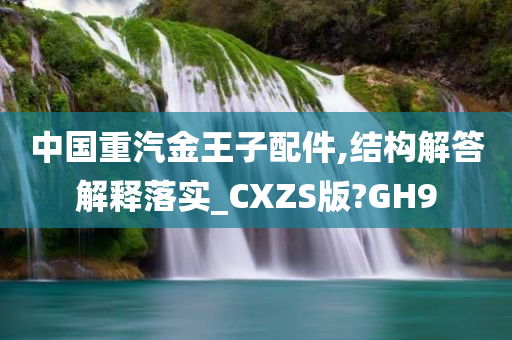 中国重汽金王子配件,结构解答解释落实_CXZS版?GH9