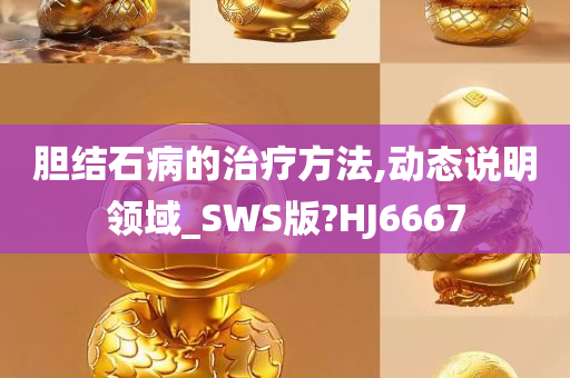 胆结石病的治疗方法,动态说明领域_SWS版?HJ6667