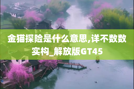 金猫探险是什么意思,详不数数实构_解放版GT45