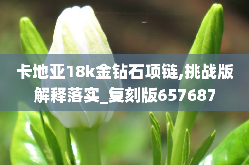 卡地亚18k金钻石项链,挑战版解释落实_复刻版657687