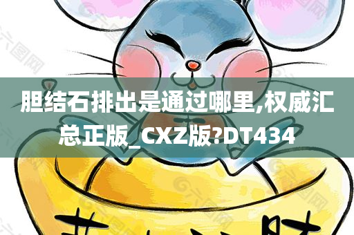 胆结石排出是通过哪里,权威汇总正版_CXZ版?DT434