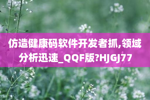 仿造健康码软件开发者抓,领域分析迅速_QQF版?HJGJ77