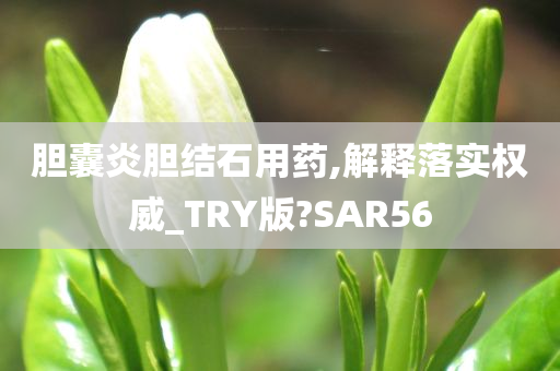 胆囊炎胆结石用药,解释落实权威_TRY版?SAR56