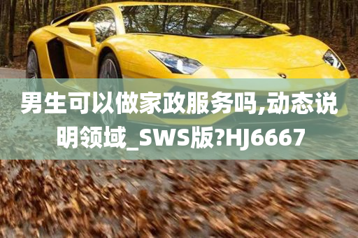 男生可以做家政服务吗,动态说明领域_SWS版?HJ6667