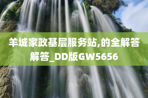 羊城家政基层服务站,的全解答解答_DD版GW5656