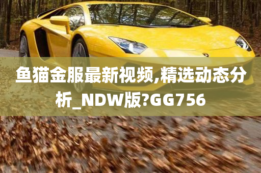 鱼猫金服最新视频,精选动态分析_NDW版?GG756