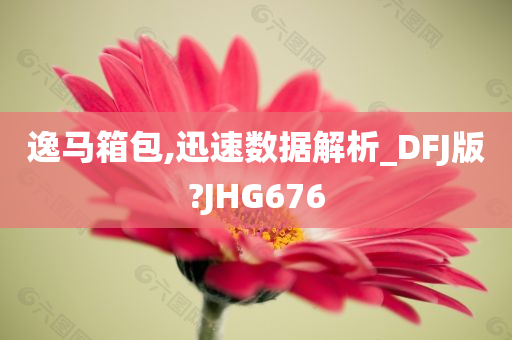 逸马箱包,迅速数据解析_DFJ版?JHG676