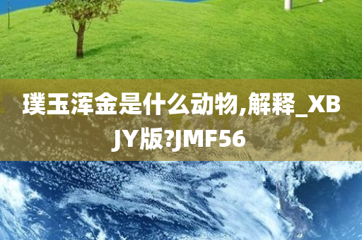 璞玉浑金是什么动物,解释_XBJY版?JMF56