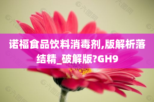 诺福食品饮料消毒剂,版解析落结精_破解版?GH9