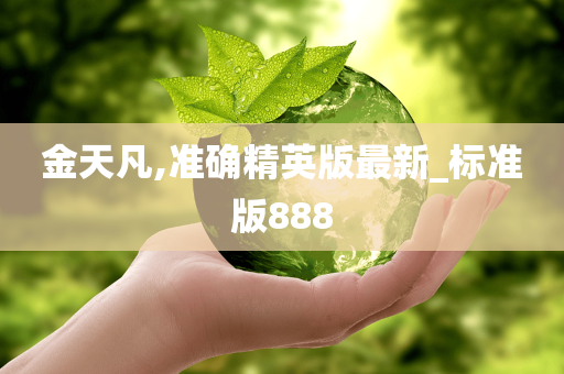 金天凡,准确精英版最新_标准版888