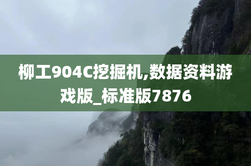 柳工904C挖掘机,数据资料游戏版_标准版7876