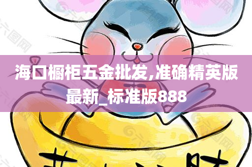 海口橱柜五金批发,准确精英版最新_标准版888