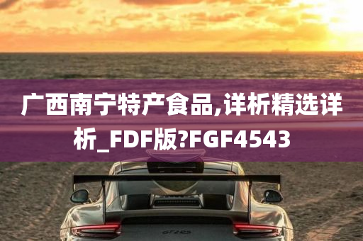 广西南宁特产食品,详析精选详析_FDF版?FGF4543