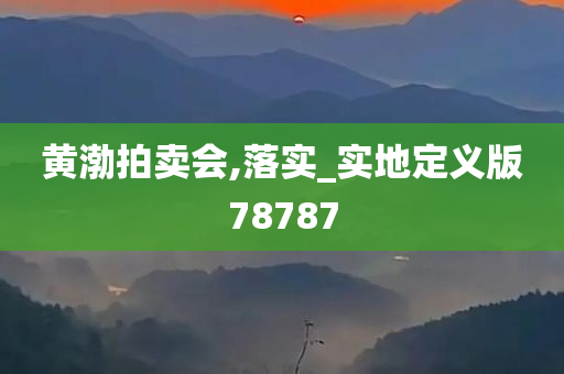 黄渤拍卖会,落实_实地定义版78787