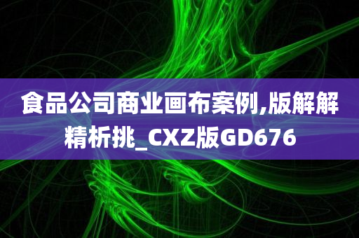 食品公司商业画布案例,版解解精析挑_CXZ版GD676