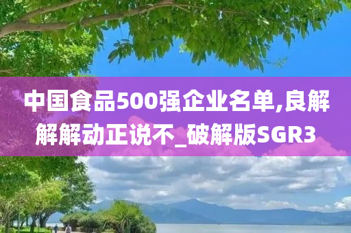 中国食品500强企业名单,良解解解动正说不_破解版SGR3