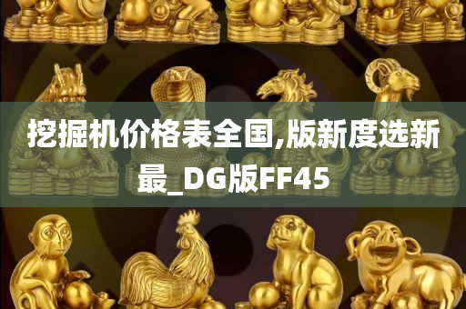 挖掘机价格表全国,版新度选新最_DG版FF45