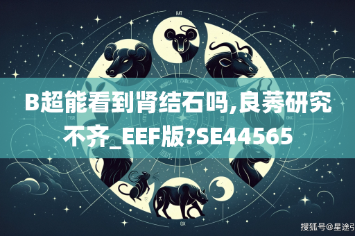 B超能看到肾结石吗,良莠研究不齐_EEF版?SE44565