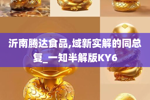 沂南腾达食品,域新实解的同总复_一知半解版KY6